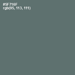 #5F716F - Como Color Image