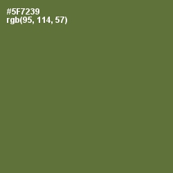 #5F7239 - Chalet Green Color Image