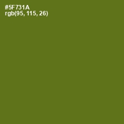 #5F731A - Green Leaf Color Image