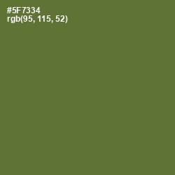 #5F7334 - Chalet Green Color Image