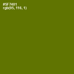 #5F7401 - Green Leaf Color Image