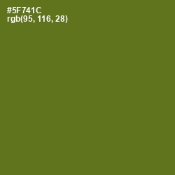 #5F741C - Green Leaf Color Image