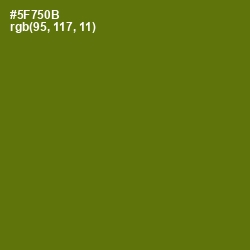 #5F750B - Green Leaf Color Image
