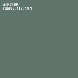 #5F756B - Como Color Image