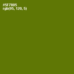 #5F7805 - Green Leaf Color Image