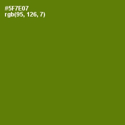 #5F7E07 - Green Leaf Color Image