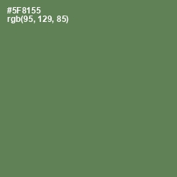 #5F8155 - Hippie Green Color Image