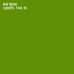 #5F9006 - Vida Loca Color Image