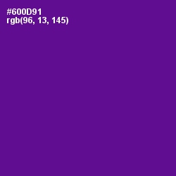 #600D91 - Purple Color Image