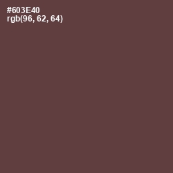 #603E40 - Tawny Port Color Image