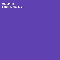 #6041B1 - Studio Color Image
