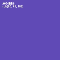 #604BB6 - Blue Violet Color Image