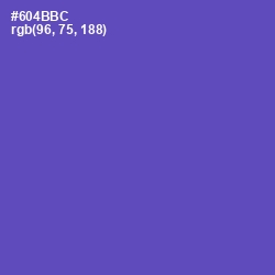 #604BBC - Blue Violet Color Image