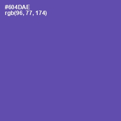 #604DAE - Blue Violet Color Image
