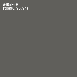 #605F5B - Zambezi Color Image