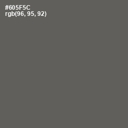 #605F5C - Zambezi Color Image
