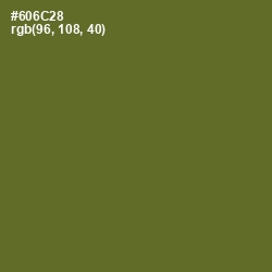 #606C28 - Fern Frond Color Image