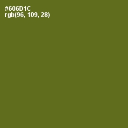 #606D1C - Olivetone Color Image