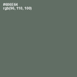 #606E64 - Corduroy Color Image