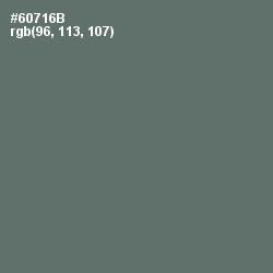 #60716B - Corduroy Color Image