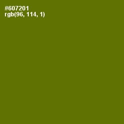 #607201 - Olivetone Color Image