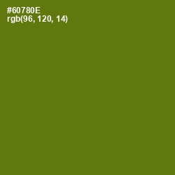 #60780E - Olivetone Color Image