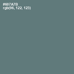 #607A7B - Nevada Color Image