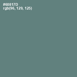 #60817D - Viridian Green Color Image