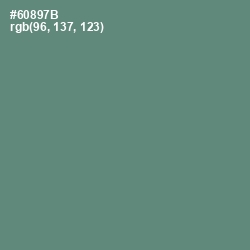 #60897B - Viridian Green Color Image