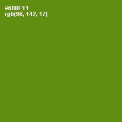 #608E11 - Limeade Color Image