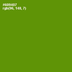 #609407 - Limeade Color Image