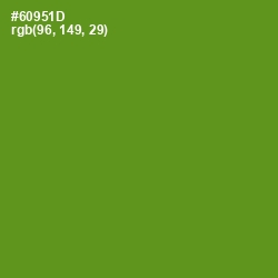 #60951D - Trendy Green Color Image