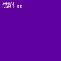 #6100A1 - Purple Color Image