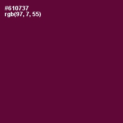 #610737 - Tyrian Purple Color Image