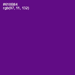 #610B84 - Purple Color Image
