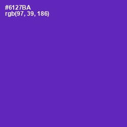 #6127BA - Royal Purple Color Image