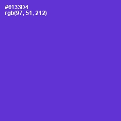 #6133D4 - Purple Heart Color Image
