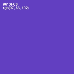 #613FC0 - Purple Heart Color Image
