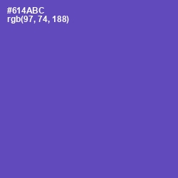 #614ABC - Blue Violet Color Image