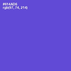 #614AD6 - Fuchsia Blue Color Image