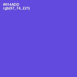 #614ADD - Fuchsia Blue Color Image