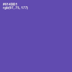 #614BB1 - Blue Violet Color Image