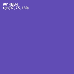 #614BB4 - Blue Violet Color Image