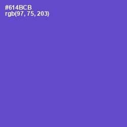 #614BCB - Fuchsia Blue Color Image