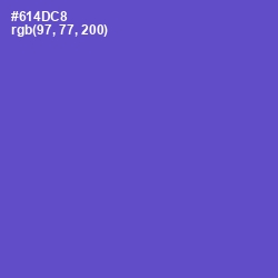 #614DC8 - Fuchsia Blue Color Image