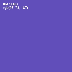 #614EBB - Blue Violet Color Image