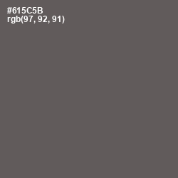 #615C5B - Zambezi Color Image