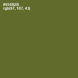 #616B2B - Fern Frond Color Image
