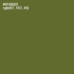 #616B2D - Fern Frond Color Image