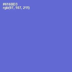 #616BD3 - Blue Marguerite Color Image